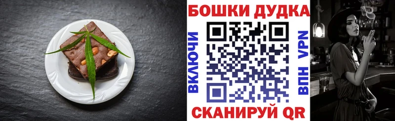 Canna-Cookies марихуана  мега как зайти  Новодвинск 