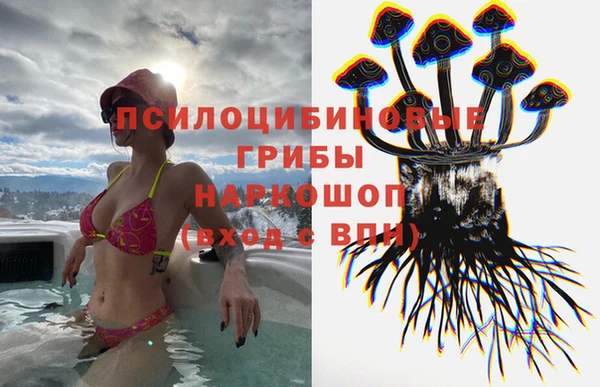 гашик Алзамай