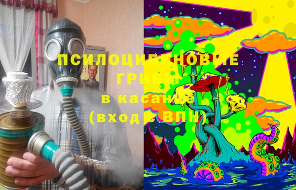 гашик Алзамай