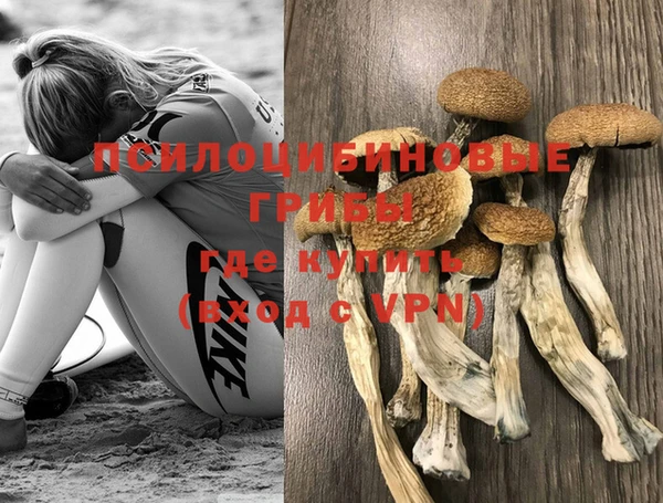 соль ск Алексеевка