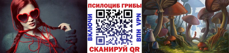 закладка MEGA tor Галлюциногенные грибы ЛСД Новодвинск